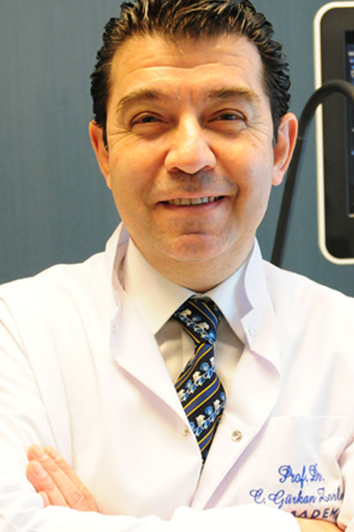 Prof. Dr. C. Gurkan Zorlu