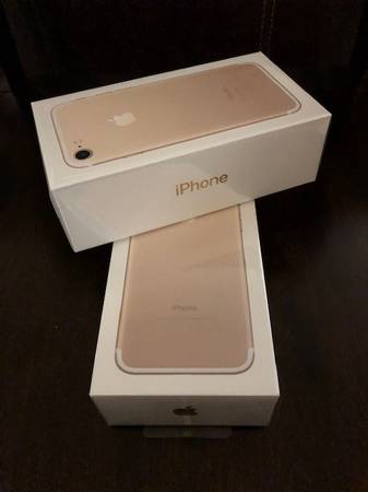 Apple iPhone 7 Gold, Warranty